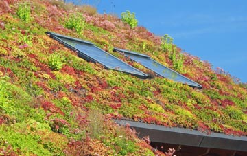 Sheepscar living roof systems